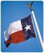 Texas Flag