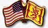 usa jewish flag pin